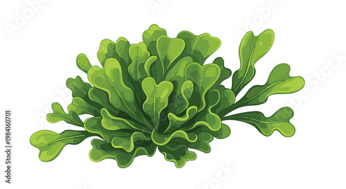 A lush cluster of vibrant green mustard greens, showcasing their ruffled leaves and offering a peppery, slightly bitter flavor for cooking.