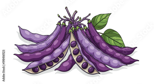 A vibrant cluster of fresh, purple yardlong beans, some whole and some split open to reveal the light-colored beans inside, perfect for Asian dishes.