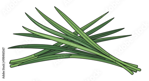 A neatly stacked pile of fresh green lemongrass stalks, known for their distinct citrusy aroma, an essential herb in Southeast Asian cuisine.