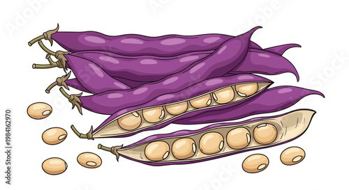 A vibrant array of fresh, purple yardlong beans, some whole and some split open to reveal the light-colored beans inside, perfect for Asian dishes.
