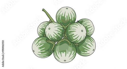 A cluster of small, round green Thai eggplants with light stripes, often used in Southeast Asian cuisine for their slightly bitter taste.
