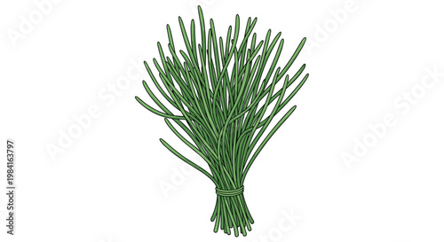 A tightly bound bunch of fresh sea beans, also known as salicornia or sea asparagus, showcasing their slender, succulent green stalks.