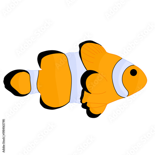A vibrant and cute vector illustration of a clownfish, featuring its iconic bright orange body with bold white stripes and black-edged fins