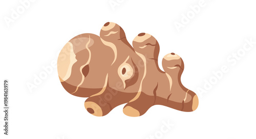 A gnarled piece of ginger root, featuring its light brown, textured skin, a widely used spice and herbal remedy in various cuisines.