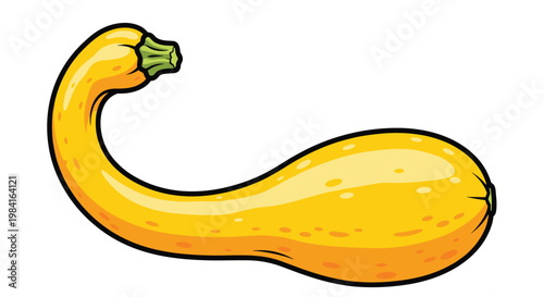 A single vibrant yellow crookneck squash, showcasing its distinctive curved neck and elongated body, a popular and flavorful summer squash.