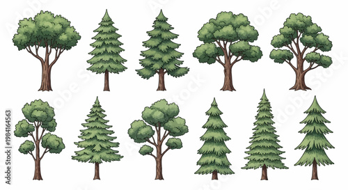 Set of eleven hand-drawn green tree illustrations including deciduous oaks and coniferous pines, firs, and spruce trees isolated on a white background for nature design projects.