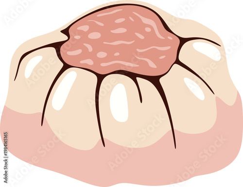 Illustration of a Steamed Dumpling