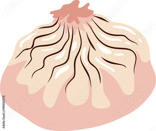 Illustration of a Steamed Dumpling