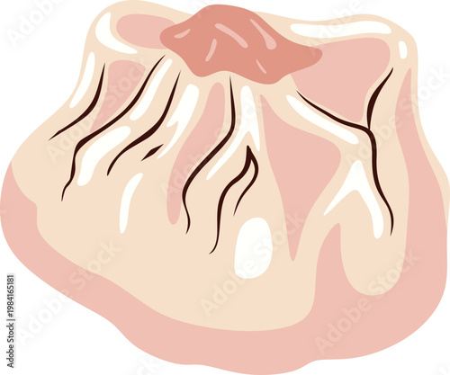 Illustration of a Steamed Dumpling