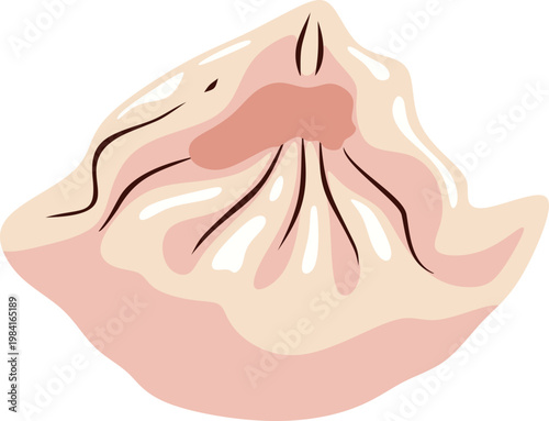 Illustration of a Steamed Dumpling