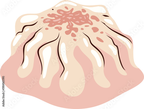 Illustration of a Steamed Dumpling
