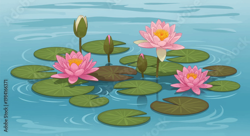 Detailed vector illustration of pink water lily flowers and green pads on blue water surface. Features blooming nymphaea blossoms, buds, and circular lily pads with subtle ripples.