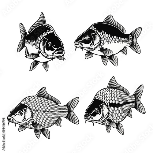 Detailed black and white vector illustrations of four carp fish with intricate scale patterns and fins, presented in various angles and poses isolated on a white background.