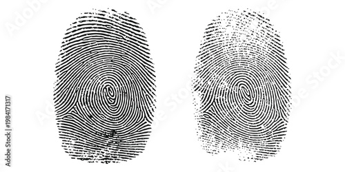 Close-up of two distinct fingerprint patterns against a white background, highlighting unique ridge details.