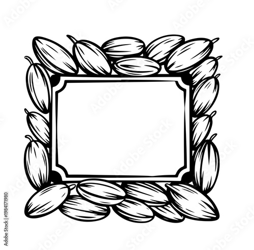 Cocoa design template vector illustration. Line art vintage sketches of cacao beans, nuts and plants, organic cocoa,
