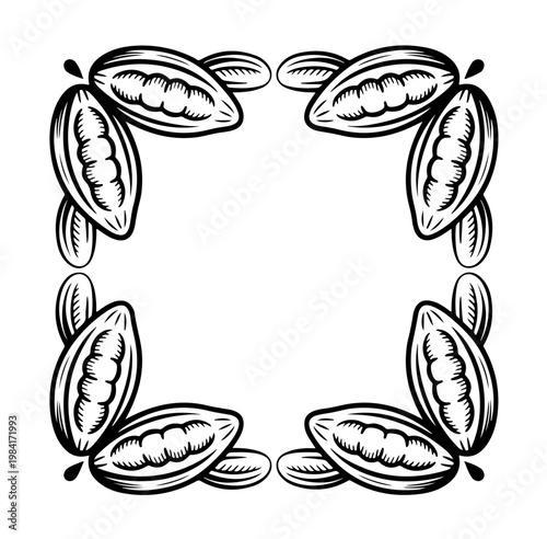 Cocoa design template vector illustration. Line art vintage sketches of cacao beans, nuts and plants, organic cocoa,

