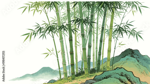 Traditional Ink Wash Style Landscape Illustration of a Lush Green Bamboo Grove Growing on Rolling Grassy Hills, with Soft Distant Misty Hills and a Clean Blank White Background