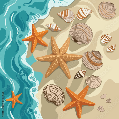 sea shells and starfish