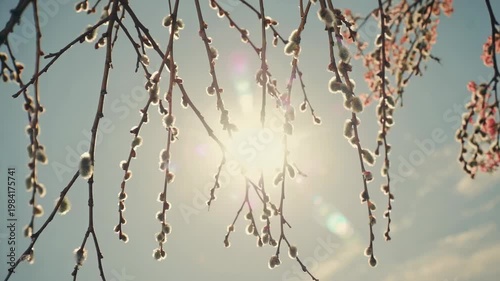 Modern garden path with stone pavers