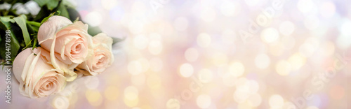 Wallpaper Mural The branch of pink roses on white fabric background
 Torontodigital.ca