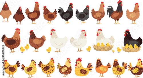 Cartoon Hens, Roosters, and Chicks in Various Poses with Nest for Farm and Animal Illustrations
