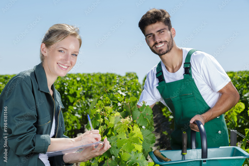 Naklejka premium happy man and woman working in vineyards