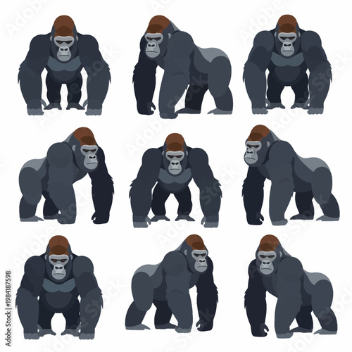 Vector set of nine gorilla illustrations in a flat design style, featuring various poses including frontal and profile views, knuckle-walking, and standing against a white background.