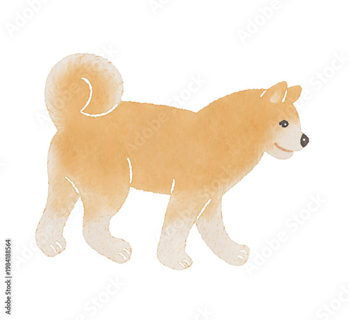 かわいい犬のやさしい手描き風イラスト｜犬　柴犬　秋田犬