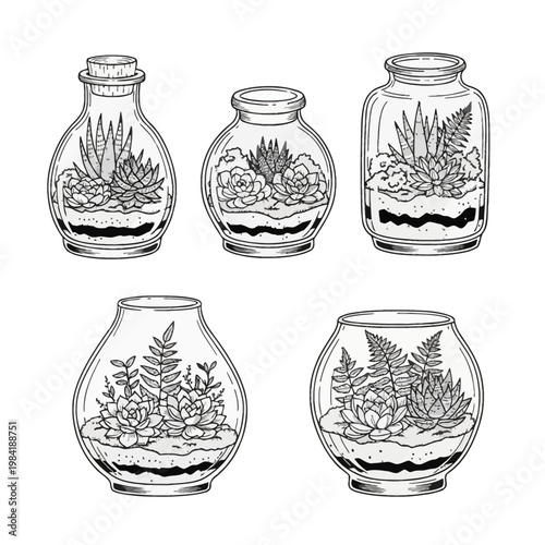 Hand-drawn black and white line art illustration of five unique glass terrariums containing succulents, ferns, and layered soil inside various bottles, jars, and glass bowls.