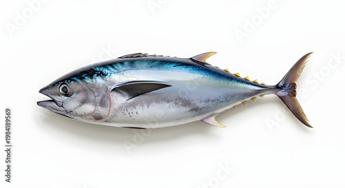 Vibrant Tuna Fish Isolated on White Background - A Stunning Aquatic Specimen.