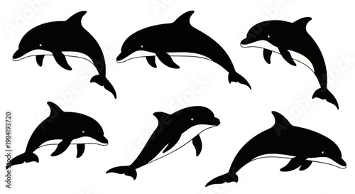 A collection of six black and white dolphin silhouettes in various jumping and swimming poses, isolated on a white background, featuring minimalist vector art design for marine life.