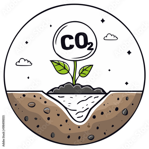 Carbon Dioxide Absorbing Plant Illustration Showing Growth in Soil with Rounded Frame; Depicting CO2 Capture and Clean Energy