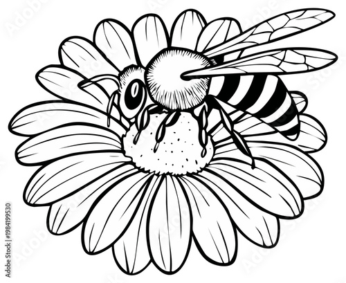 Bee Collecting Pollen From a Daisy Flower Illustration