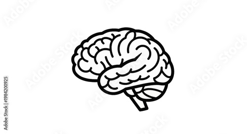 Black and white line art illustration of a human brain from a side profile view, featuring simplified anatomical folds and gyri, isolated on a white background for design.