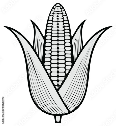 Stylized illustration of a ripe ear of corn with green husks and kernels