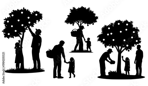 Family harvesting fruit silhouette vector people picking trees activity illustration