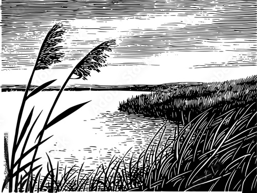 Black and white woodcut of reeds by a lake with a distant shoreline under a striped sky