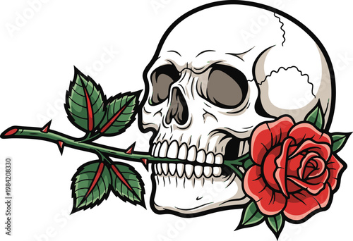 Skull With Red Rose In Mouth