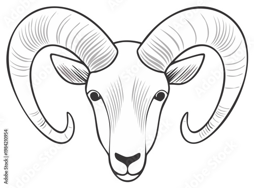 Detailed Ram Head Line Art with Curved Horns Drawing Sheep Mammal Wild Animal