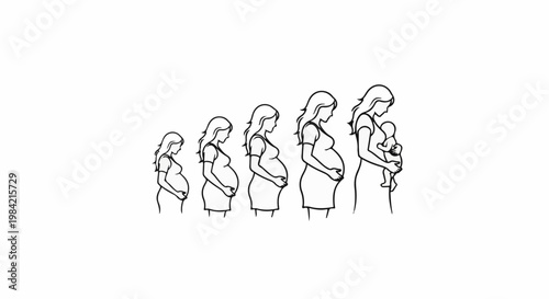 Line drawings depict pregnancy stages, from early to holding baby