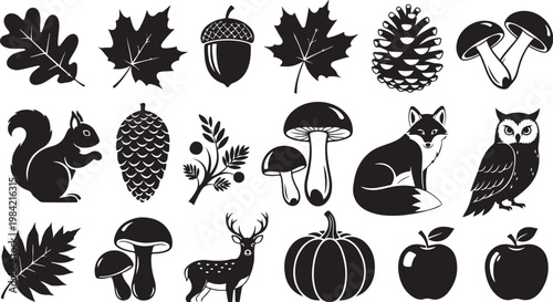 Autumn forest icons and wildlife illustrations set