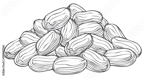 Hand Drawn Illustration of a Pile of Sweet Dried Dates Organic Food Sketch