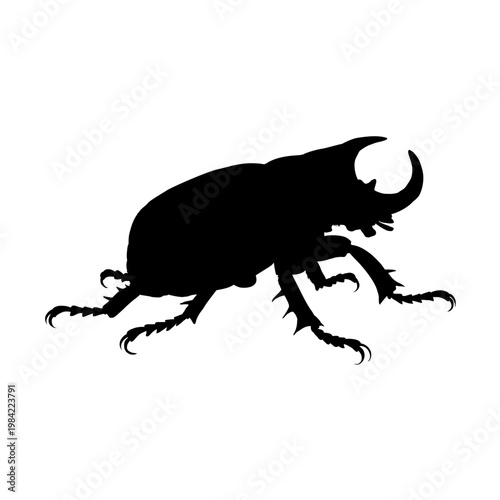Rhinoceros beetle silhouette, vector illustration