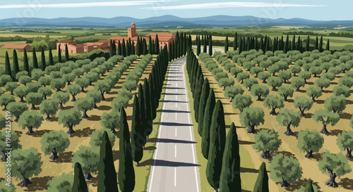 Aerial vector illustration of a scenic road lined with tall cypress trees and vast olive groves in the Tuscan countryside near Bolgheri, Italy, with distant village and hills.