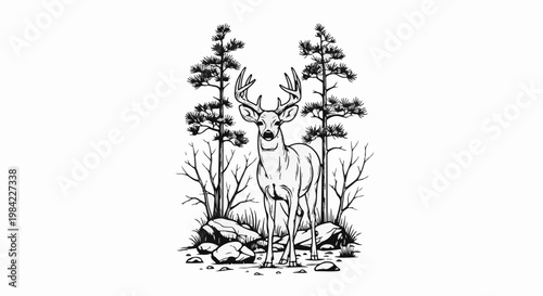 Majestic stag stands tall amidst a forest clearing with pine trees and rocks