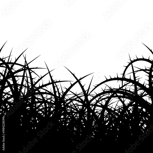 Black silhouette of a dense thicket of thorns and prickly vines, vector illustration of brambles on white background