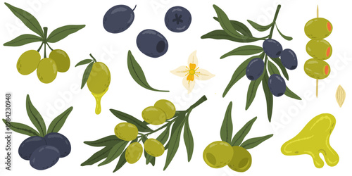 Olive set with black and green olives, branches, leaves, blossom, oil drop, on white background. For labels, packaging, menu design.