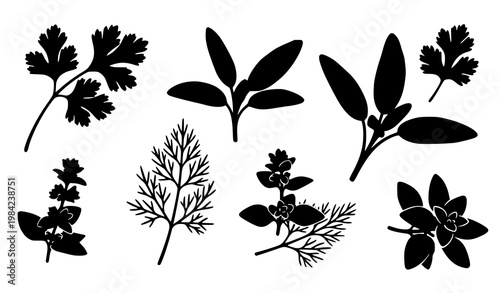 Hand drawn herb leaves silhouette set with parsley cilantro sage dill and oregano decorative vector collection