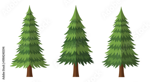 Three vibrant green evergreen trees stand closely together against a white background forming a striking silhouette high quality professional detailed modern