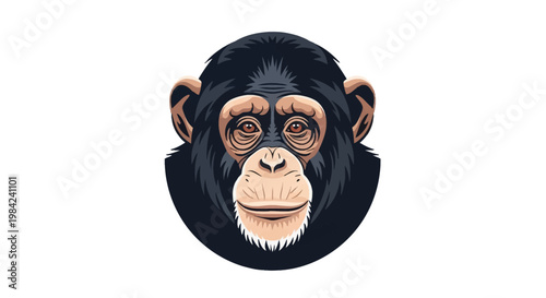 Vector illustration of a common chimpanzee head portrait with detailed facial features, black fur, and light skin around the eyes and muzzle, isolated on a white background.